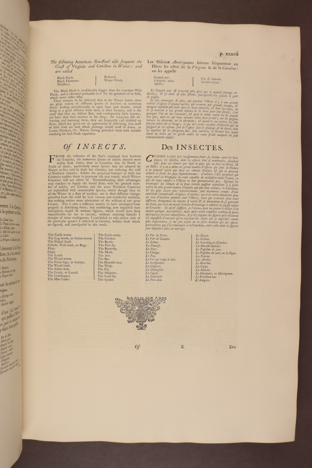 Page xxxvii